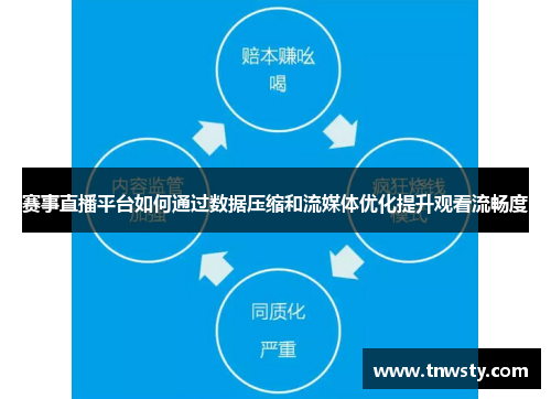 赛事直播平台如何通过数据压缩和流媒体优化提升观看流畅度
